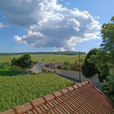Gite Independant Diz'Enreves Au Coeur Des Vignes Dizy Exterior foto