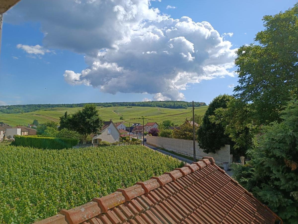 Independant Diz'enreves Au Coeur Des Vignes