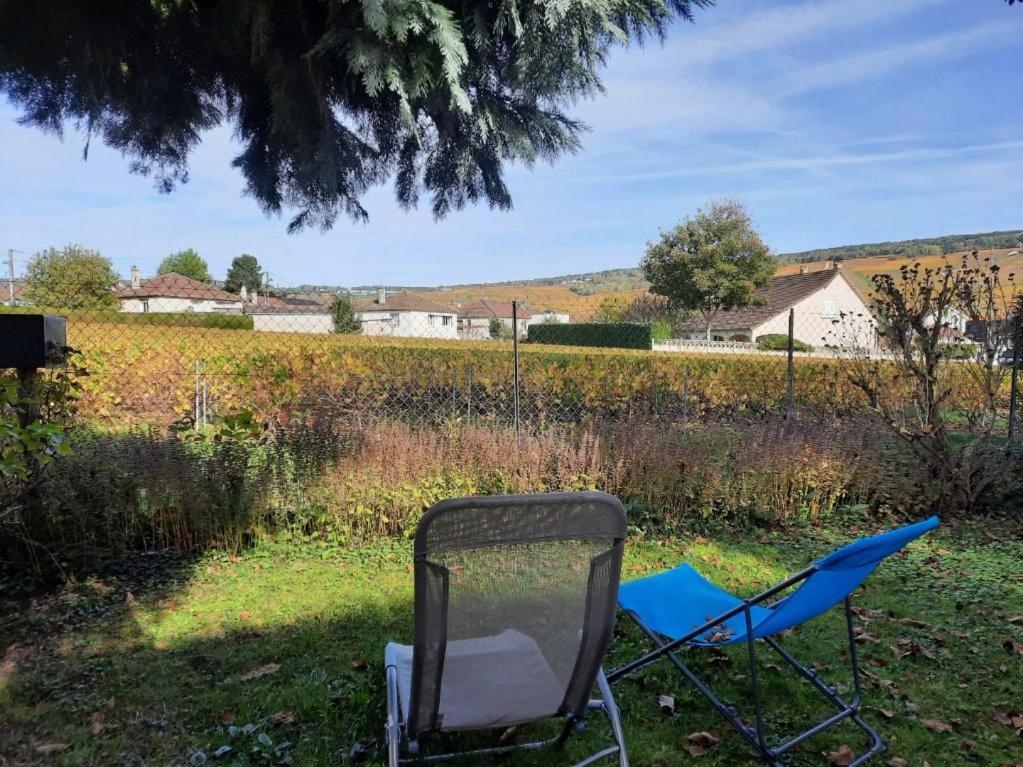 Independant Diz'enreves Au Coeur Des Vignes Dizy